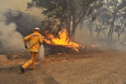 Im Kampf gegen das Feuer: Buschfeuer in Australien breitet sich aus  