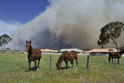 Im Kampf gegen das Feuer: Buschfeuer in Australien breitet sich aus  
