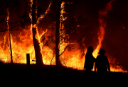 Im Kampf gegen das Feuer: Buschfeuer in Australien breitet sich aus  