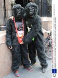 Great Gorilla Run charity fun run in aid of the Gorilla Organization, London, Britain - 24 Sep 2011