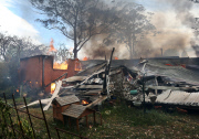 Im Kampf gegen das Feuer: Buschfeuer in Australien breitet sich aus  