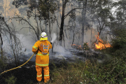 Im Kampf gegen das Feuer: Buschfeuer in Australien breitet sich aus  