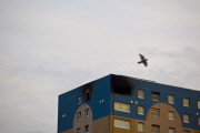 The Landscape of Murder is a photographic series documenting all the sites where murders have occurred in London, between January 1st, 2011 and December 31st, 2012.