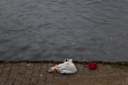 The Landscape of Murder is a photographic series documenting all the sites where murders have occurred in London, between January 1st, 2011 and December 31st, 2012.