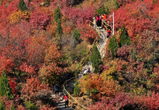 Autumn Scenery At Badaling Great Wall