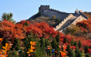 Autumn Scenery At Badaling Great Wall