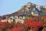 Autumn Scenery At Badaling Great Wall