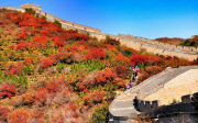Autumn Scenery At Badaling Great Wall