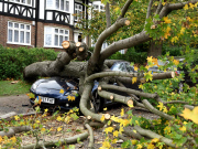 St Tudy storm hits southern UK. A parked car is crushed by a fallen tree in Loughton Essex.