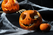 Halloween im Zoo von Adelaide    