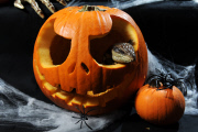 Halloween im Zoo von Adelaide    