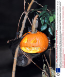 Animals enjoy Halloween treats at Brookfield Zoo, Chicago, America - 29 Oct 2013