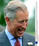 Prince Charles plants a tree on the estate of his Highgrove home, Gloucestershire, Britain - 23 May 2008