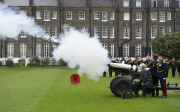 London Poppy Day