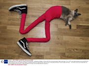 A couple dress their cat in tights for a series of amusing photos,  Gothenburg, Sweden - 04 Nov 2013