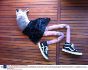 A couple dress their cat in tights for a series of amusing photos,  Gothenburg, Sweden - 04 Nov 2013