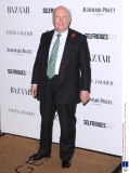 Harpers Bazaar 'Woman of the Year' awards 2013, London, Britain - 05 Nov 2013