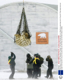 Polar Bears in Churchill, Manitoba, Canada - Nov 2006