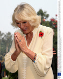 Prince Charles and Camilla Duchess of Cornwall in Delhi, India - 08 Nov 2013