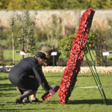 Remembrance Sunday