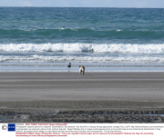 Photographer captures picture of a 'dog-bird', Opotiki Beach, New Zealand - Nov 2013
