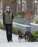 EXCLUSIVE Brooke Mueller walking her dogs