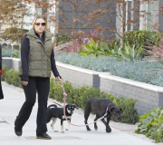 EXCLUSIVE Brooke Mueller walking her dogs