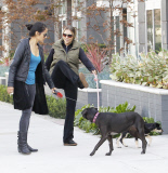 EXCLUSIVE Brooke Mueller walking her dogs
