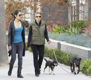 EXCLUSIVE Brooke Mueller walking her dogs