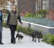 EXCLUSIVE Brooke Mueller walking her dogs