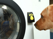 Waschmaschine für Hunde