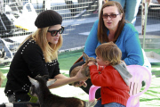 Selma Blair carries a fussy Arthur at the Farmers Market