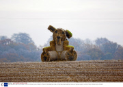 Giant teddy bear made out of hay bales in a field in Croftamie, Drymen, Scotland - 25 Nov 2013