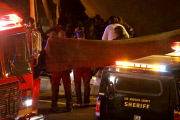 Coroners examine Paul Walker at the site of his Tragic Death