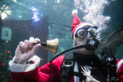 Santa Claus is coming - tauchender Weihnachtsmann