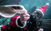 Santa Claus is coming - tauchender Weihnachtsmann