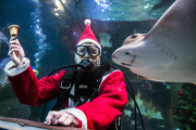 Santa Claus is coming - tauchender Weihnachtsmann