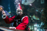Santa Claus is coming - tauchender Weihnachtsmann