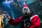 Santa Claus is coming - tauchender Weihnachtsmann