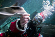 Santa Claus is coming - tauchender Weihnachtsmann
