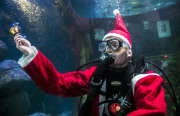 Santa Claus is coming - tauchender Weihnachtsmann