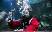 Santa Claus is coming - tauchender Weihnachtsmann