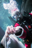 Santa Claus is coming - tauchender Weihnachtsmann