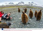 The wildlife of South Georgia by Paul Goldstein - Nov 2013