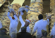 Bidders flock to buy more than 700 turkeys and other Christmas poultry including geese, and chickens being auctioned at the York Auction Centre. Today's sale is the first of two auctions that will see more than 1000 birds sold on Saturday .
