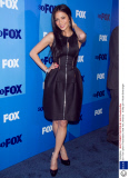 2011 Fox Upfront Presentation, New York, America - 16 May 2011