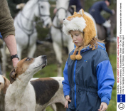 Beaufort Hunt in Didmarton, Gloucestershire, Britain - 21 Dec 2013