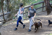Anne Hathaway runs in the same paparazzo she left a doggie treat for on Thursday