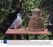 Squirrels and birds eat Dalek made from nuts and seeds by Dr Who fan, Hampshire, Britain - 14 Dec 2013