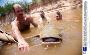 'Noodling' for catfish on the Red River, Oklahoma, America - 2012